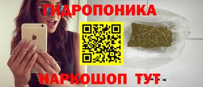ешки Кимры