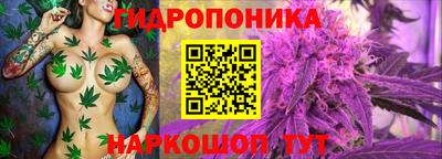 трава Кинель