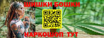 шишки Кингисепп