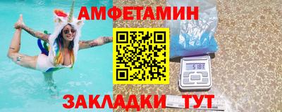 шишки Кингисепп